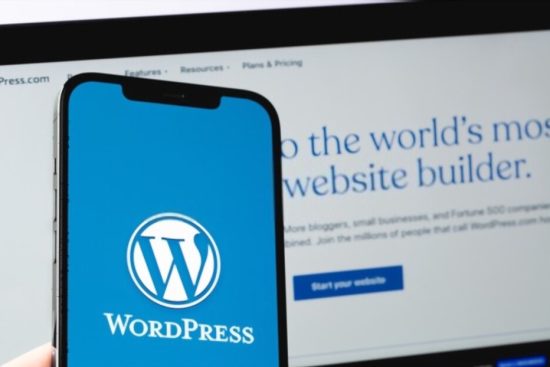 wordpress cms use