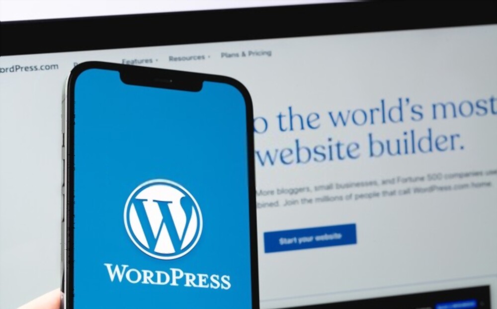 wordpress cms use